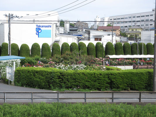 ありがとう〜！と線路のこちらがわから挨拶