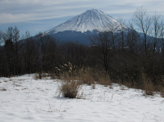 三湖台からの富士山　あっぱれ！