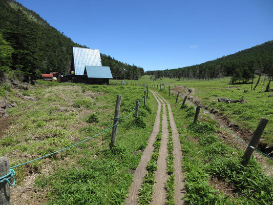 やってきました　縞枯山荘