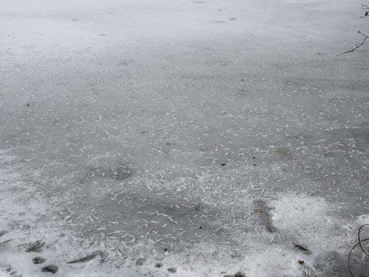 凍った池の造形