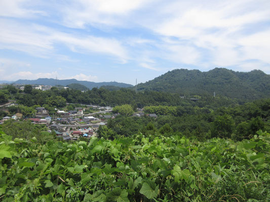 根小屋方面　右手の緑の盛り上がりが城山　