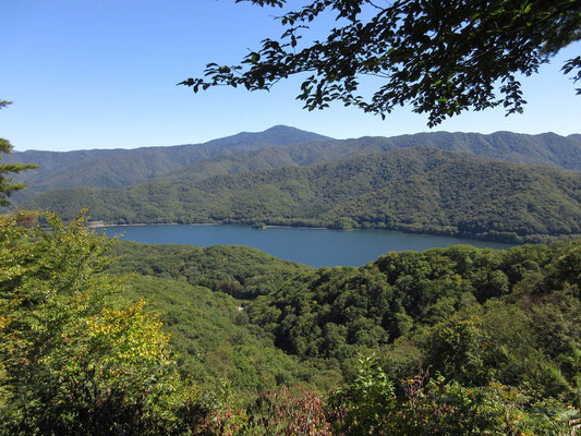 すると一箇所だけ、桧原湖と向こうには西大巓（吾妻連峰）が見える場所に出た　そこには地元の老夫婦がベンチで休んでいた　旦那さん曰く「あの展望台辺りにはよくクマが出るし、質が悪くてウ～ッて威嚇するから、あっちへは行かないんだ」と・・・知らぬが仏　いっぱい果物やお菓子を食べて休憩していた私たち（汗）