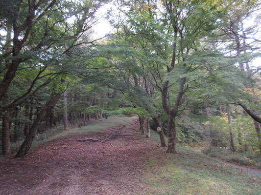 広い道から登っていくが〜