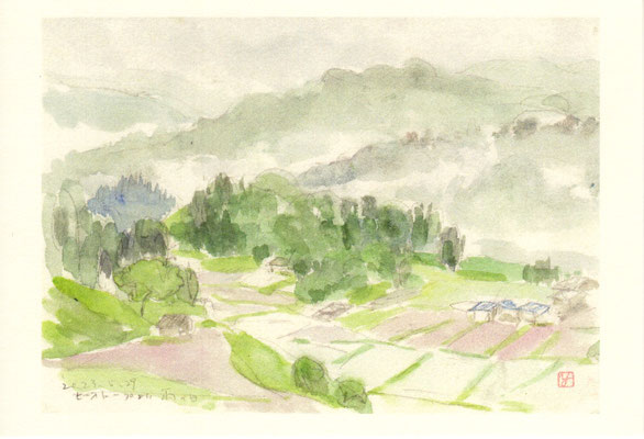 ビオトープより雨の日（長野県・小川村）