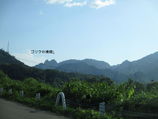 こちらは地元の人がゴリラ山と呼んでいる=ゴリラが寝ている…