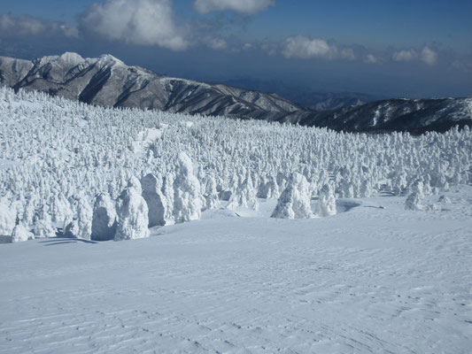 雪原と樹氷4