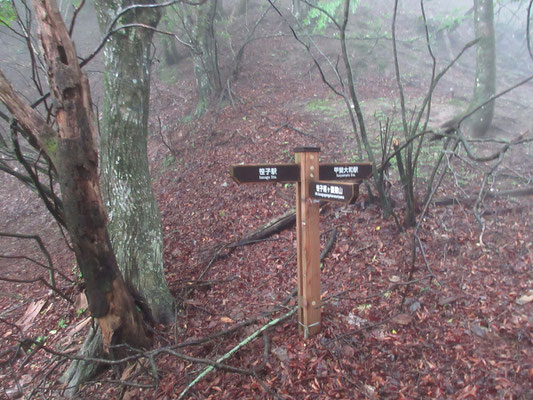 霧のなか、トンネル脇の登山道からいよいよ出発！