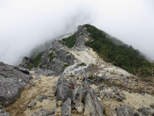 縦走路を進んで行くが、どこに地蔵岳があるのか？