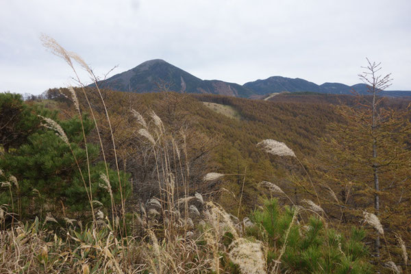 縦走後半、先程の場所を振り返って見る　蓼科山の出っ張りの下、三角に剥げている場所に居たわけ　何故、あそこだけあんな風に何もないのか不思議