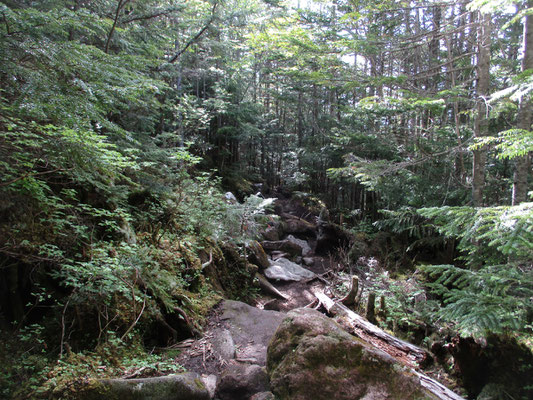 岩ゴロンゴロンの登山道