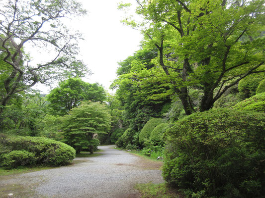 ザ・庭園！