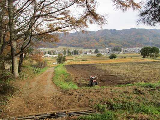 戻った登山口周辺は長閑な田畑が拡がっています