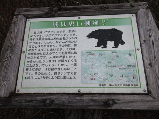 そしてクマさんの看板も登場　クマ調査をしているIさん、この解説内容は正しい事を書いてあるとご満悦