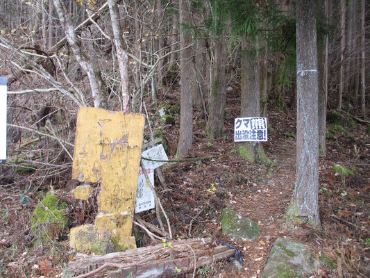 昔のガイドブックには黄色い看板には立派な「登山道入口」という字がでっかくあります　経年劣化と共にクマに破壊されたのか？