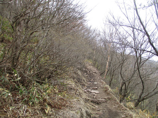 鳥居峠からの登り始め　周囲はガスっていて肌寒い