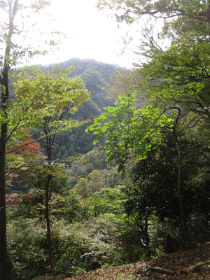 目を東の方に向けると荻野高取山方面の稜線が見える