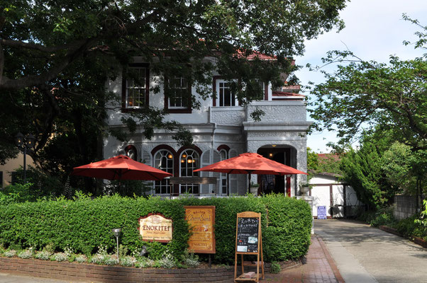 喫茶店の「えの木亭」　店前の庭には大きなエノキがあります　昔、学生時代にはこの大木を入れてスケッチしたこともありますが、今でも多くの絵画愛好家のスケッチポイントです