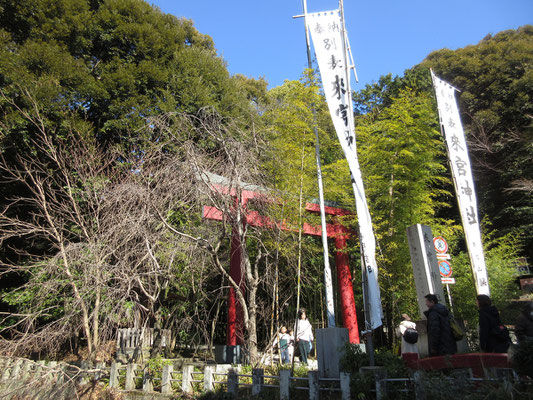 梅園をあとにし、一旦来宮駅まで戻り、ちょっと来宮神社まで足を伸ばしてみる　昔、箱根の十国峠から岩戸山を登り、一人トボトボと下って着いた来宮神社は森閑とした神社だったが、今はコンクリ造の立派な建物が社内にあり、カフェが併設　物凄い人気、人混みで驚いた