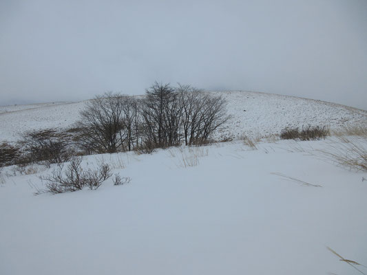 雪の霧ヶ峰6