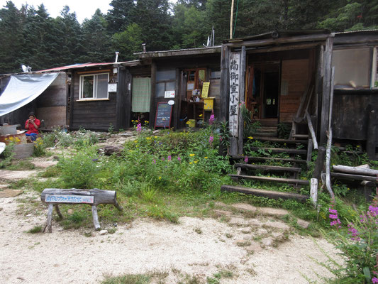 戻って来ました　花のきれいな南御室小屋