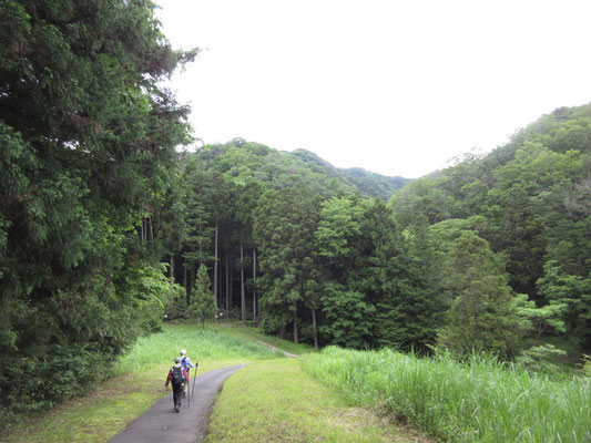 ヒルもやっつけて一安心　ゴルフ場内の厚木市道を下山