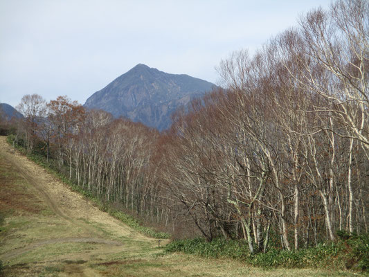 登りながら振り返ると高妻山がピラミダルに見えます