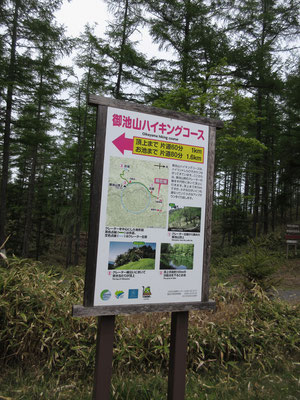 まもなく御池山登山口に到着　豊橋ナンバーの車が一台停まっているのみ　その方たちとは御池分岐で出会って別れた