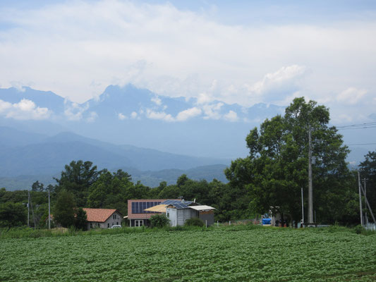 甲斐駒もずっとピークは雲の中 前景の木立に鳳凰三山の地蔵岳をマッチングさせた“裏技”?でどうにか最後の一枚を仕上げる