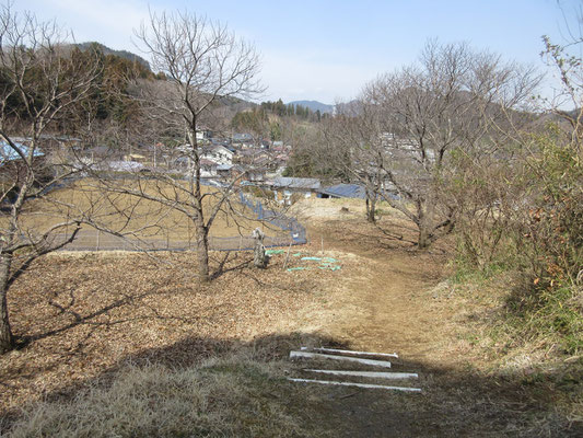 ほのぼのとした情景　この民家の一角に福寿草が咲いている