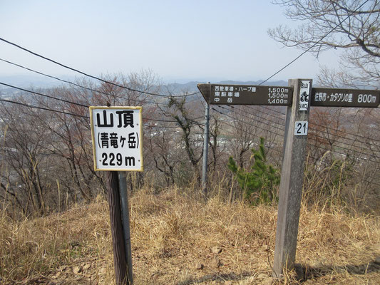 暑い！暑い！と言って到着した山頂には大きな鉄塔があり、登山者が憩うような場所も雰囲気もなかった