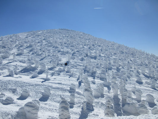 樹氷5 地蔵山の方