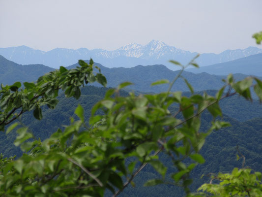 こちらは南アルプス　山容が北岳　となると奥は間ノ岳