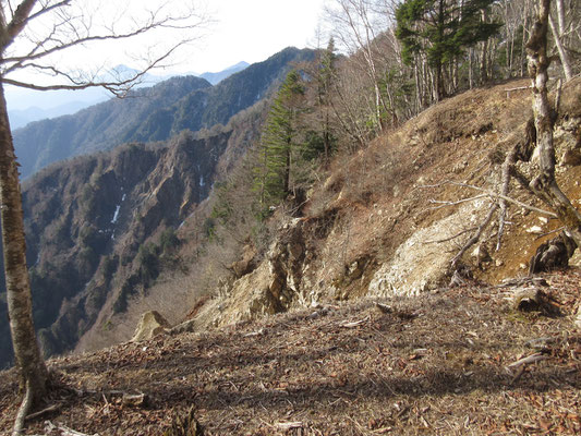 コワガラシンボの私はこれ以上崖の際まで行けない　まあ、ホントに危険だし…