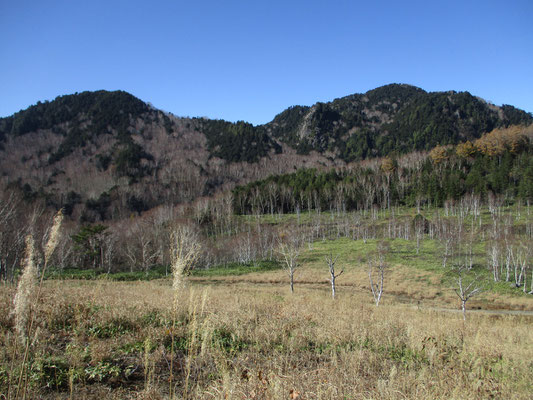 秋の高層湿原