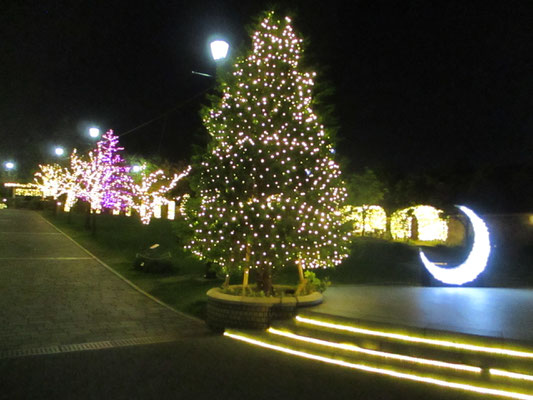 港の見える丘公園や外人墓地をつなぐアメリカ山公園　クリスマスシーズン