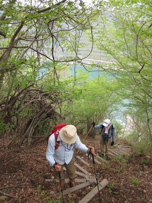 こんな急登がつづく　足下の翠色はダム湖