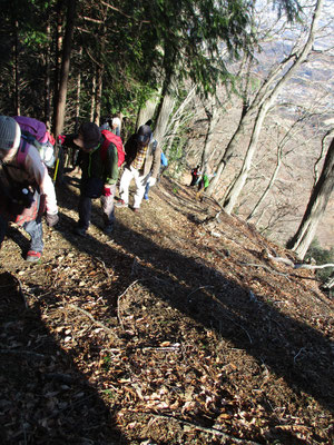 最後の急登　西山は丹沢山塊前衛の山で標高は600ｍ強の低山ではありますが、このような急登続きで決して侮ることはできません　時間的には短時間ではあっても、このバリエーションルートに匹敵するような西山を歩ければ、たいてい何処の山でも歩けるといつも感じます