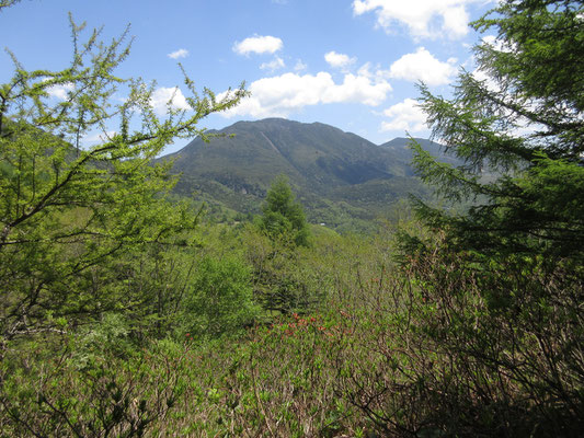 八子ヶ峰の向こう側の山が見えてくる　これは北横岳