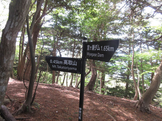 もう少し頑張ると高取山だ