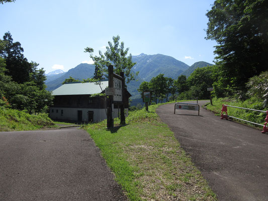まだ朝なので、クマを用心して車道を行く