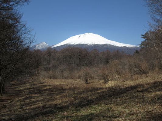 と、緩やかな登りで進んで振り返れば！　この眺め！！　大正解！