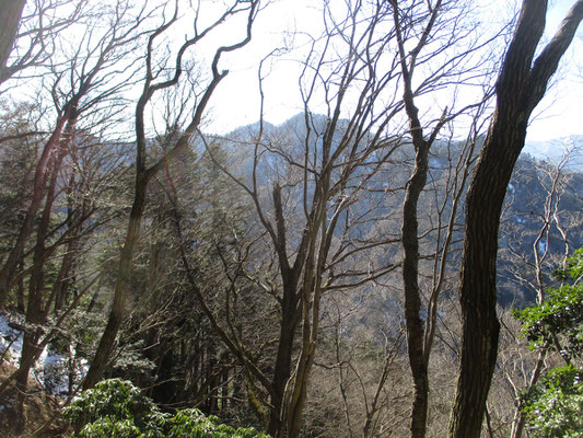 宮ヶ瀬湖と丹沢三峰に挟まれた湖岸の山稜　鍋嵐が目の前に迫る