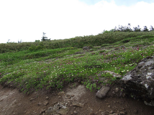 下山のときの稚児平