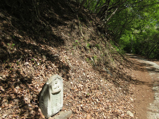 この車道脇にも何本か昔の生活道だったような痕跡がある　その一箇所にこの石碑があるのだが「右 樫山組　左 金泉湯」とある