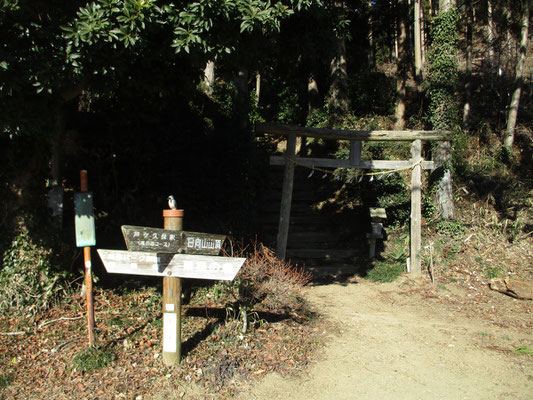 琴平神社の登山口から登ります　この後は驚くような急登の階段も登場　