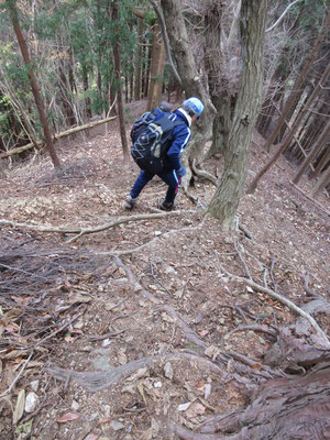 西山は低山だが、こんな急な下りもあり（というか、急な所ばかり？）