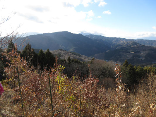 だんだんと高度を上げ、箱根の山並みが立派に見えるようになってきた