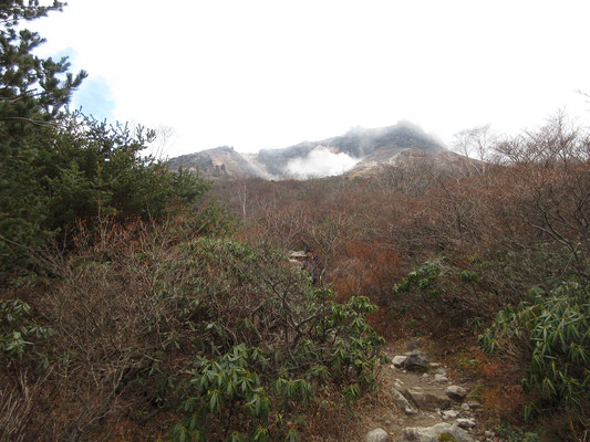 下る途中で上を振り向けば、ガスと噴気が一体化したような、ド迫力の茶臼岳が見える　スゴイ！