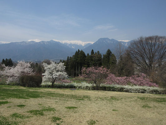 ここまで来ると特徴的な有明山が正面となる