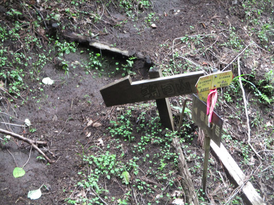 この間一時間半　ホッとした登山口、林道出合　ここで初めて「朝日山」の標識を見る